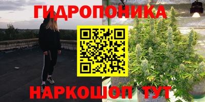 гашик Балашиха