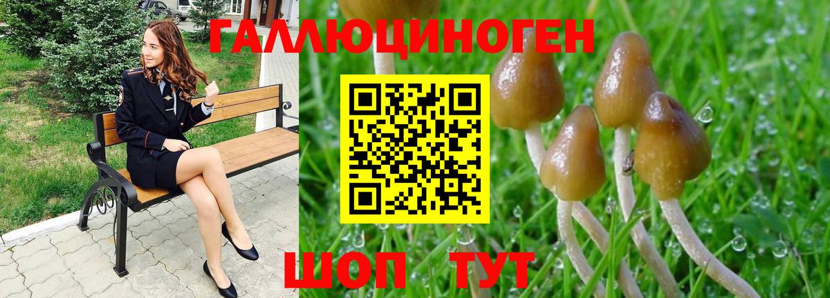 Дмитров  Псилоцибиновые грибы Magic Shrooms  купить наркотик  Вход с VPN  Галлюциногенные грибы мухоморы 