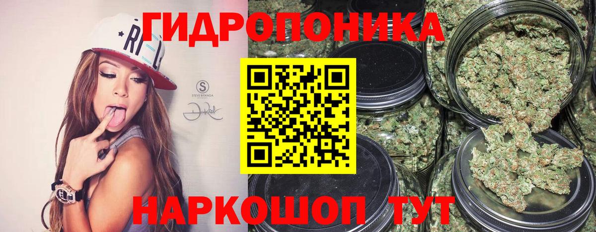 Каннабис конопля  Канабис White Widow  Марихуана OG Kush  Дмитров  Вход с VPN  Марихуана семена 